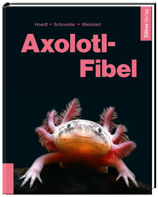 Axolotl-Fibel