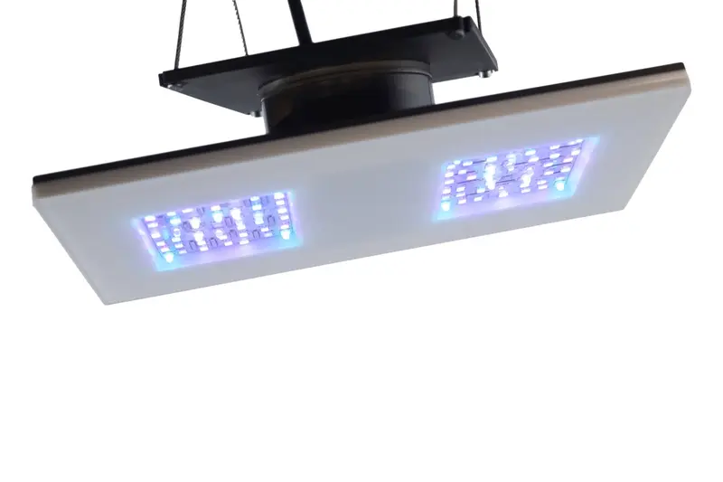 b.SPX Gravity21 2x1 Modul 30 W