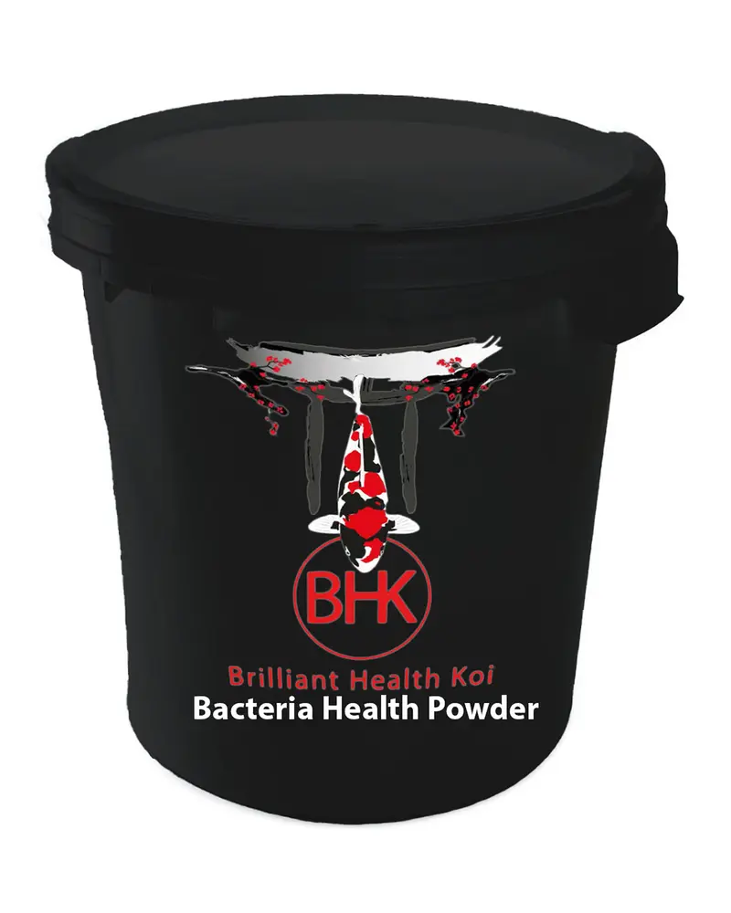 BHK Bacteria Health Powder / Milchsäurebakterien getrocknet