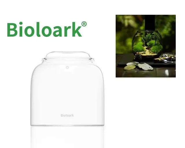 Bioloark Wabi Kusa Glas Bubble Cup ONE - Mini Terrarium inkl. Deckel
