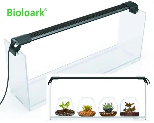 Bioloark Wabi Kusa Set - 4x Bubble Cup + LED Lampe + Acryl Stand Gift Box LH-02