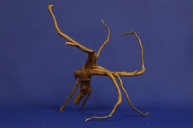 Black Root, Aquarium Wurzel, ähnlich Moorkienholz BL04