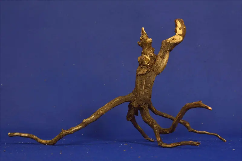 Black Root, Aquarium Wurzel, ähnlich Moorkienholz BL05