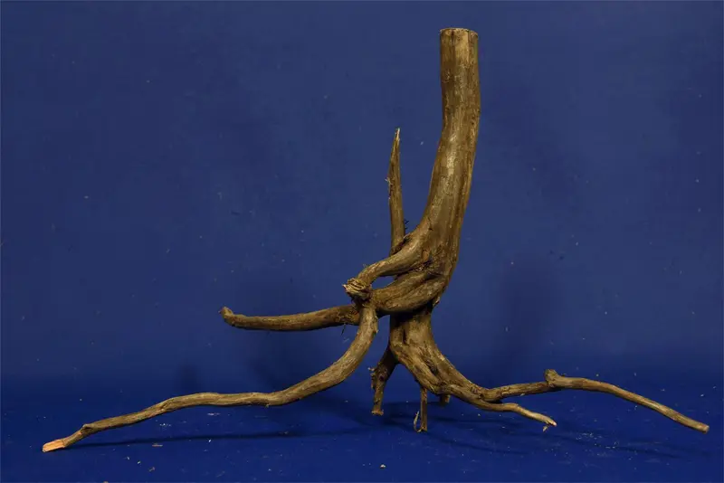 Black Root, Aquarium Wurzel, ähnlich Moorkienholz BL13