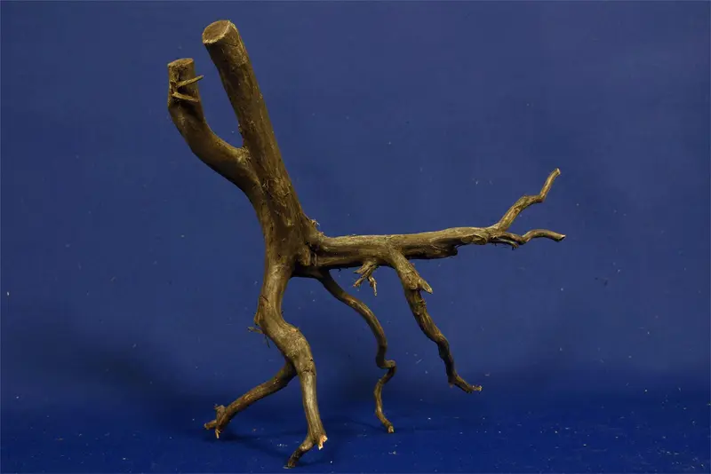 Black Root, Aquarium Wurzel, ähnlich Moorkienholz BL14