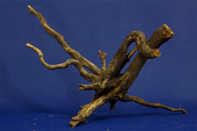 Black Root, Aquarium Wurzel, ähnlich Moorkienholz BL15