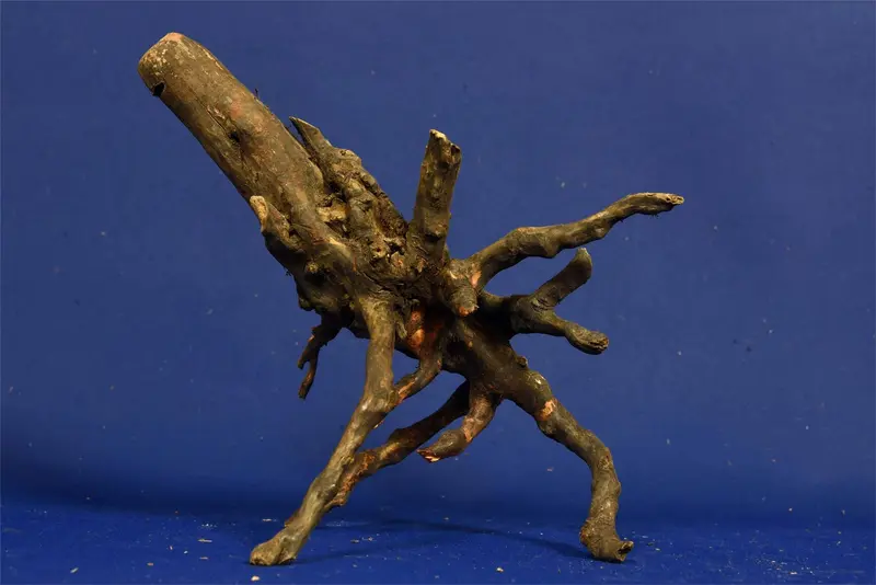 Black Root, Aquarium Wurzel, ähnlich Moorkienholz BL16