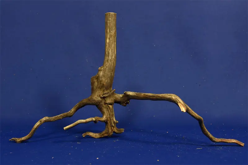 Black Root, Aquarium Wurzel, ähnlich Moorkienholz BL18