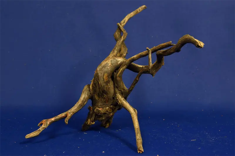 Black Root, Aquarium Wurzel, ähnlich Moorkienholz BL19