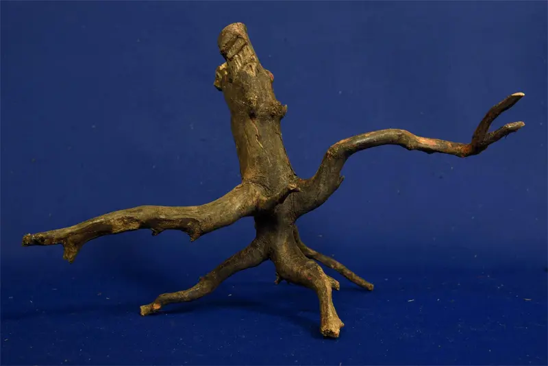 Black Root, Aquarium Wurzel, ähnlich Moorkienholz BL29