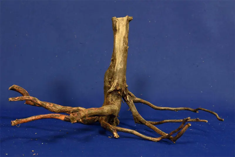 Black Root, Aquarium Wurzel, ähnlich Moorkienholz BL38