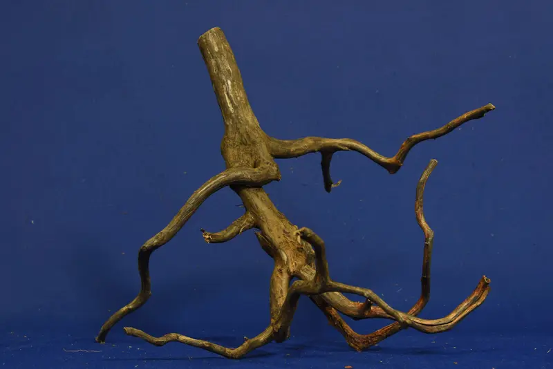 Black Root, Aquarium Wurzel, ähnlich Moorkienholz BL82
