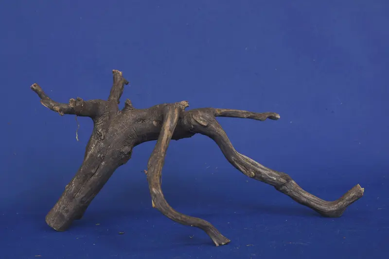 Black Root, Aquarium Wurzel, ähnlich Moorkienholz BL86