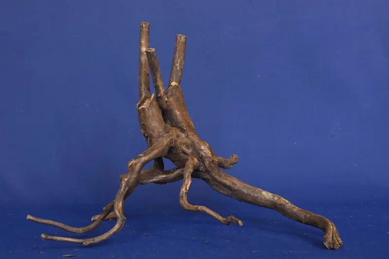 Black Root, Aquarium Wurzel, ähnlich Moorkienholz BL91
