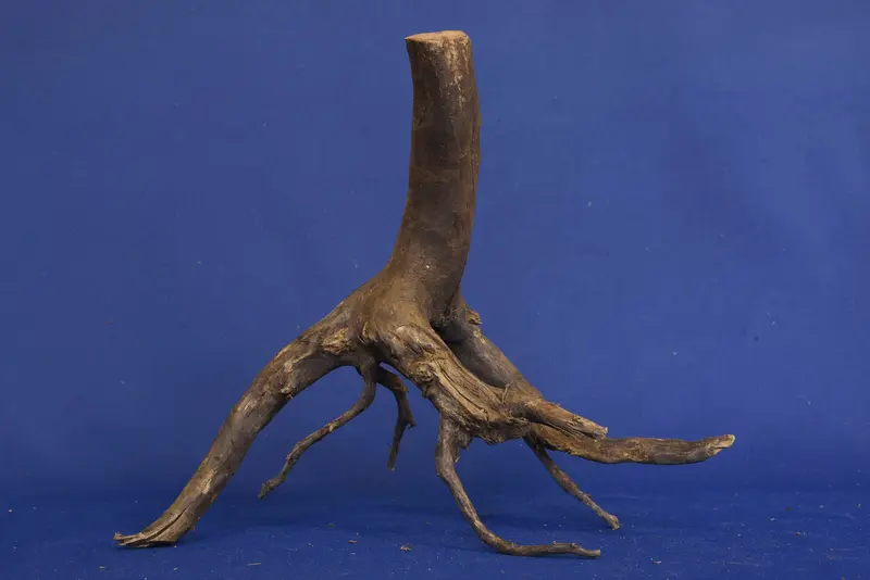 Black Root, Aquarium Wurzel, ähnlich Moorkienholz BL95