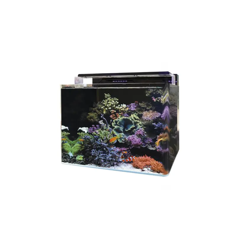 Blue Marine Reef 120 Aquarium