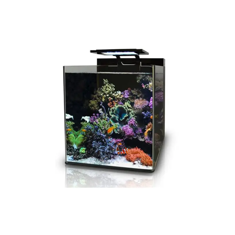 Blue Marine Reef 60 Aquarium