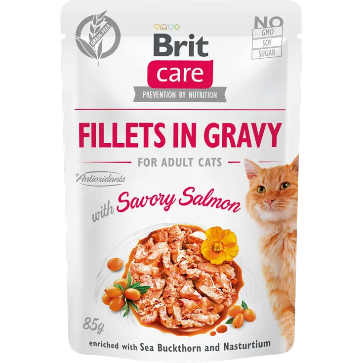 Brit Care Fillets in Gravy Salmon 85 g