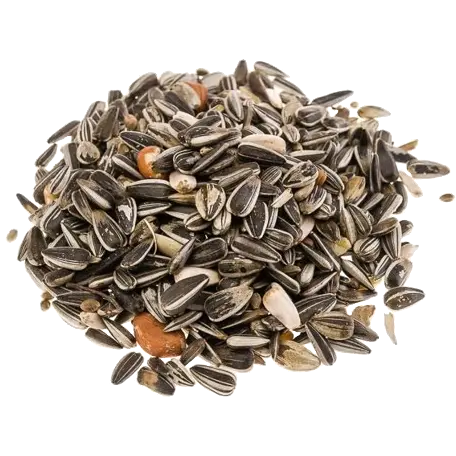 BTG Classic Bird Meisenfutter