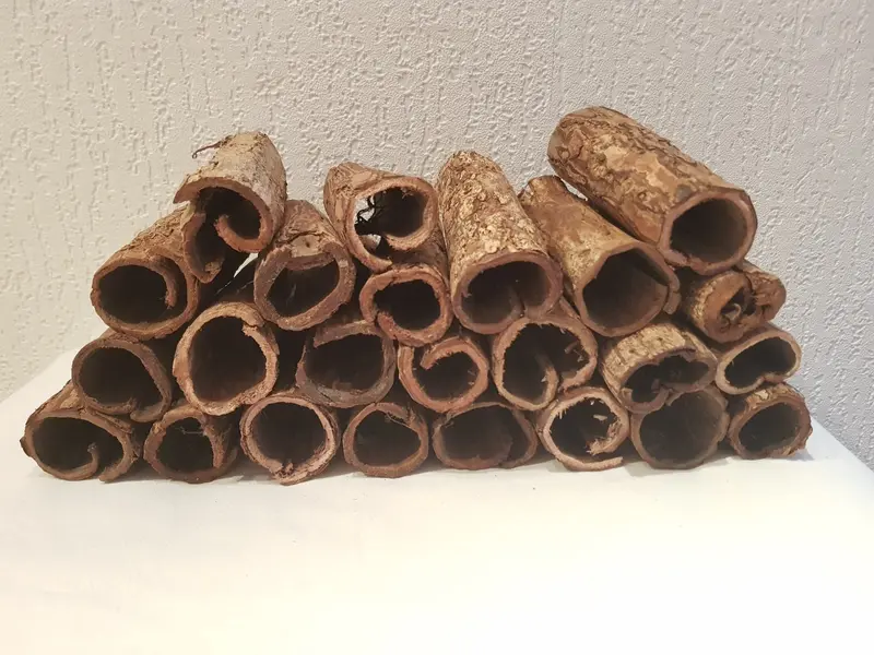 ca. 120g Seemandelbaumrinde / Catappa Bark Röhre Durchmesser 3-4cm Garnelen Deko
