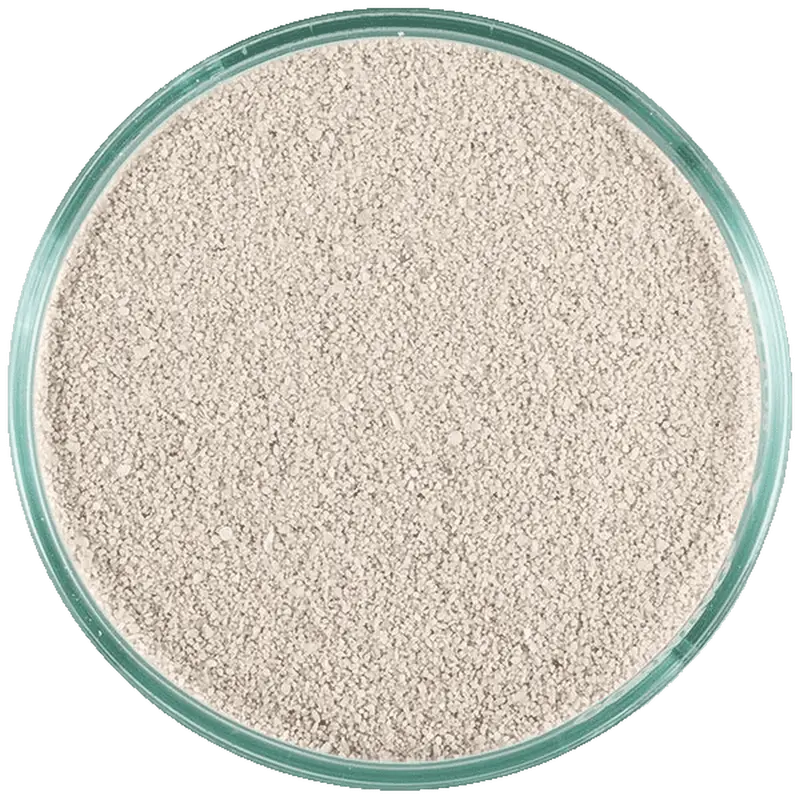 CaribSea Aragalive Bahamas Oolite Live Sand
