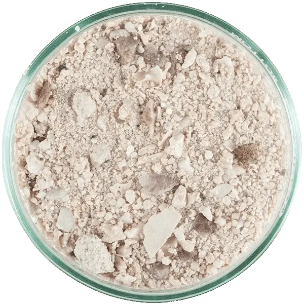 CaribSea Aragalive Bimini Pink, Live Sand