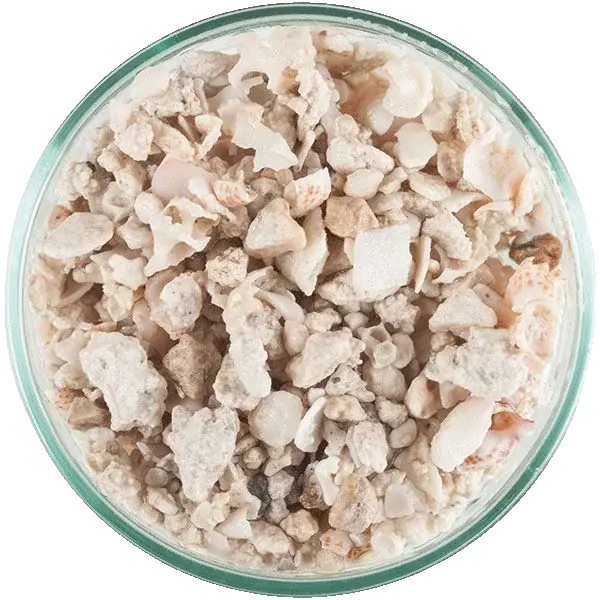 CaribSea Florida Crushed Coral, trocken