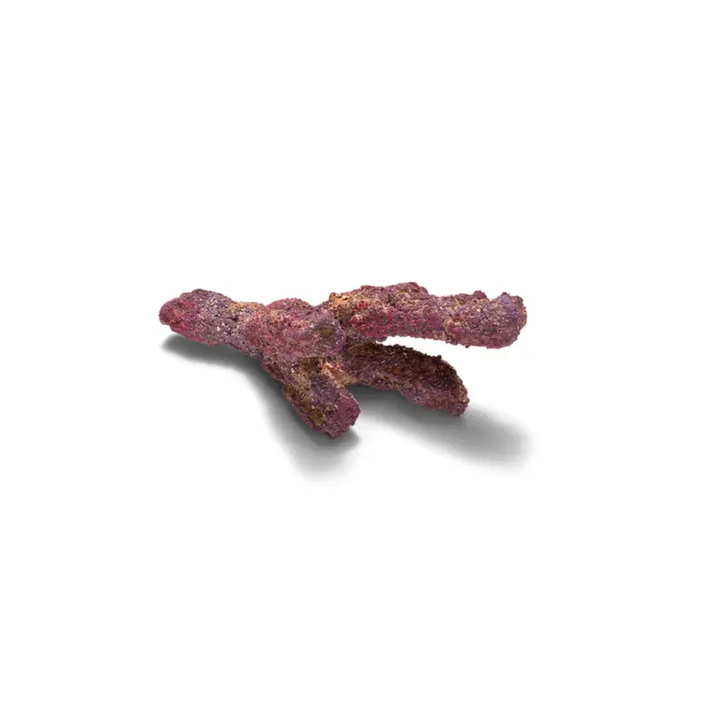 CaribSea LifeRock Belize Branch 9,07 kg (20 lb)