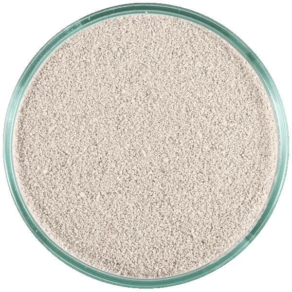 CaribSea Live Sand Ocean Direct Oolite, Lebender Sand am