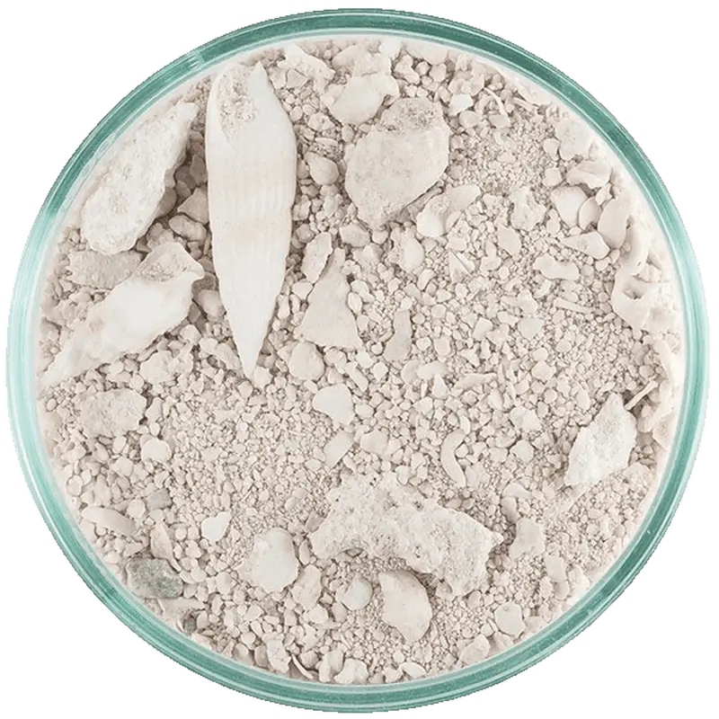 CaribSea Ocean Direct Original Grade, Live Sand
