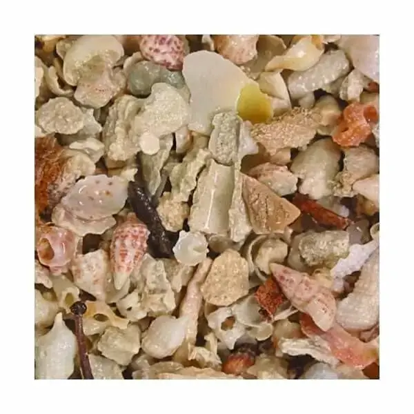 CaribSea Seaflor Aruba Puka Shell Fine