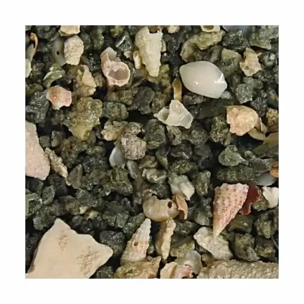 CaribSea Seaflor Coraline Volcano Beach