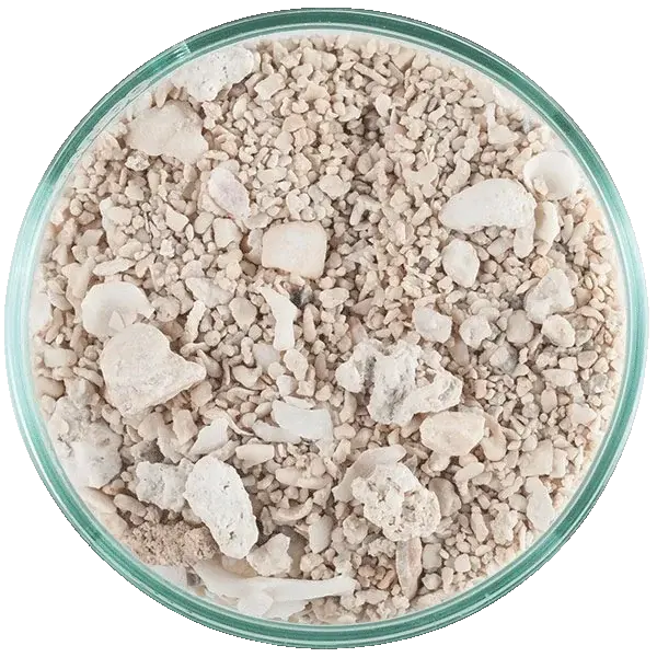 CaribSea Seaflor Super Reef, trocken