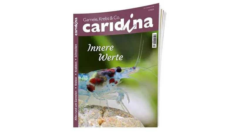 caridina 2025/2 | Zeitschrift