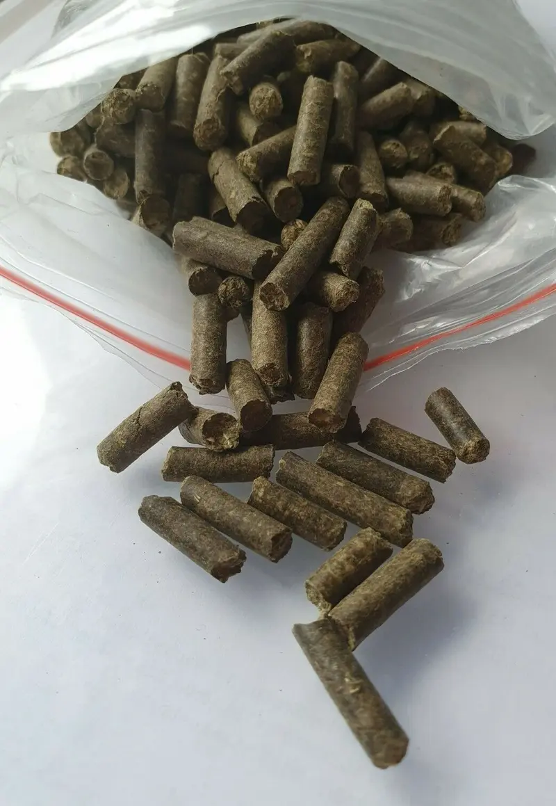 Catappa-Brennnessel Futter Sticks 100g - Futtersticks für Garnelen + Krebse TOP