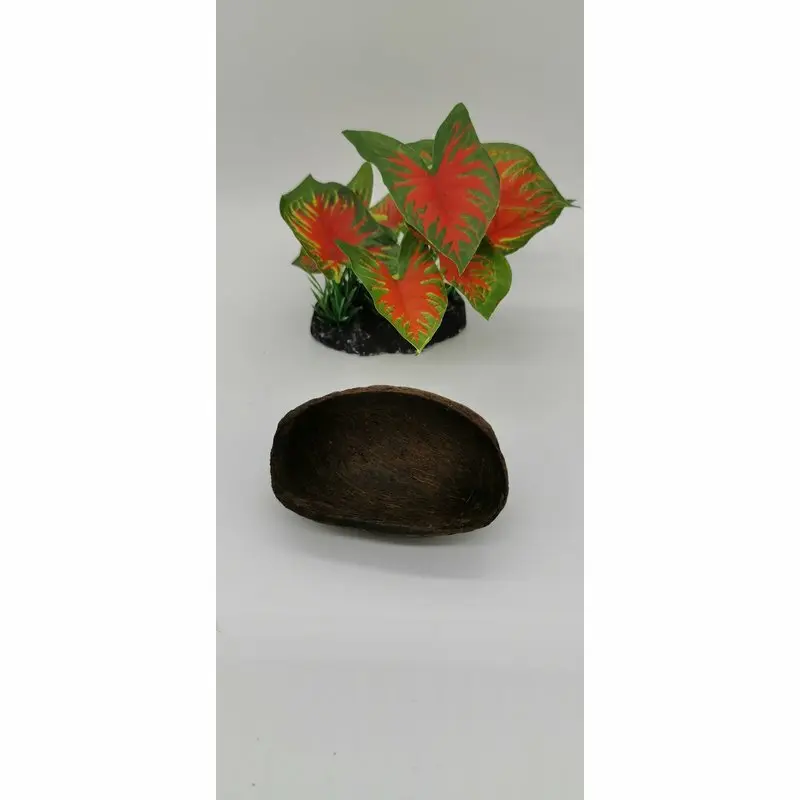 Cocos pods 6-8cm - Deko Höhle Versteck Aquarium Garnelen Krebse
