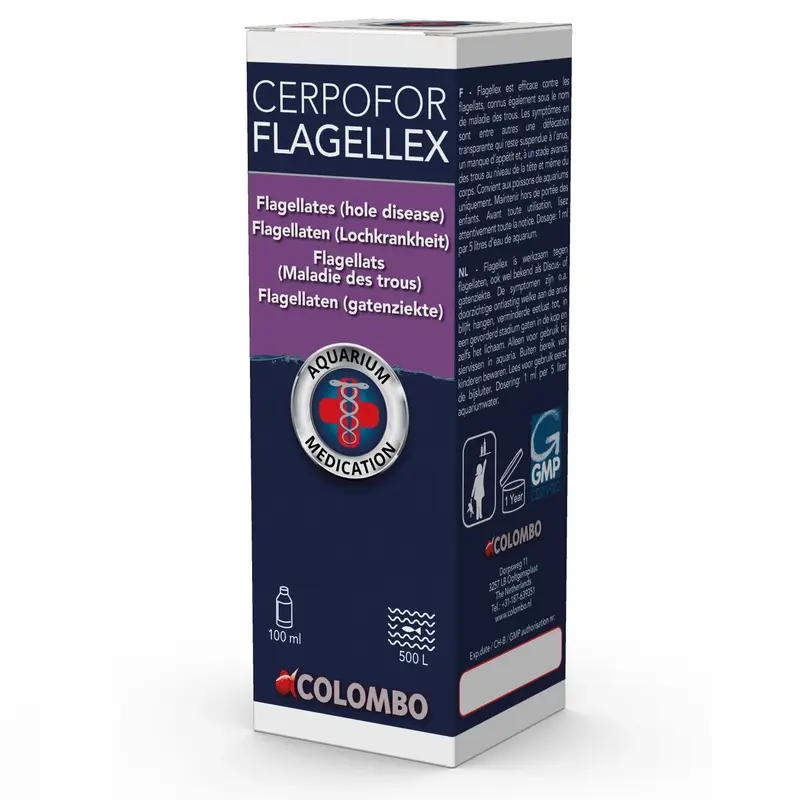 Colombo Flagellex