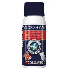 Colombo Goldfish Care