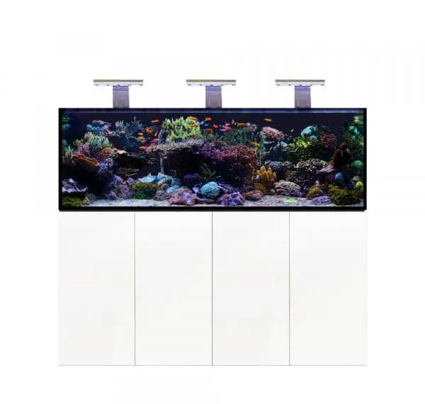 D-D Aqua Pro Reef 1800, Metallrahmen, 560 Liter, Höhe 60 cm
