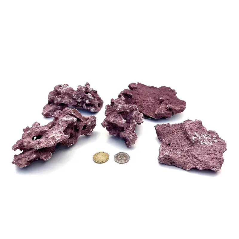 D-D Marco Coralline Frag Mounts – Steine für Ableger | 4,09 kg