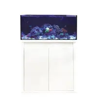 D-D Reef-Pro 900 - 290 Liter, Höhe 46 cm