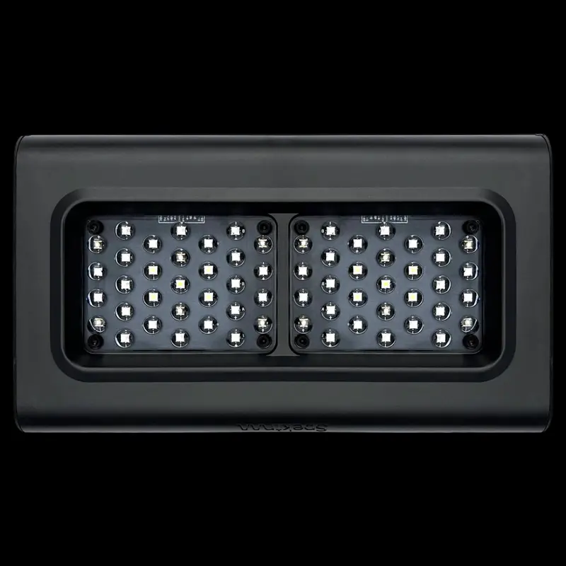 D-D Spektrum