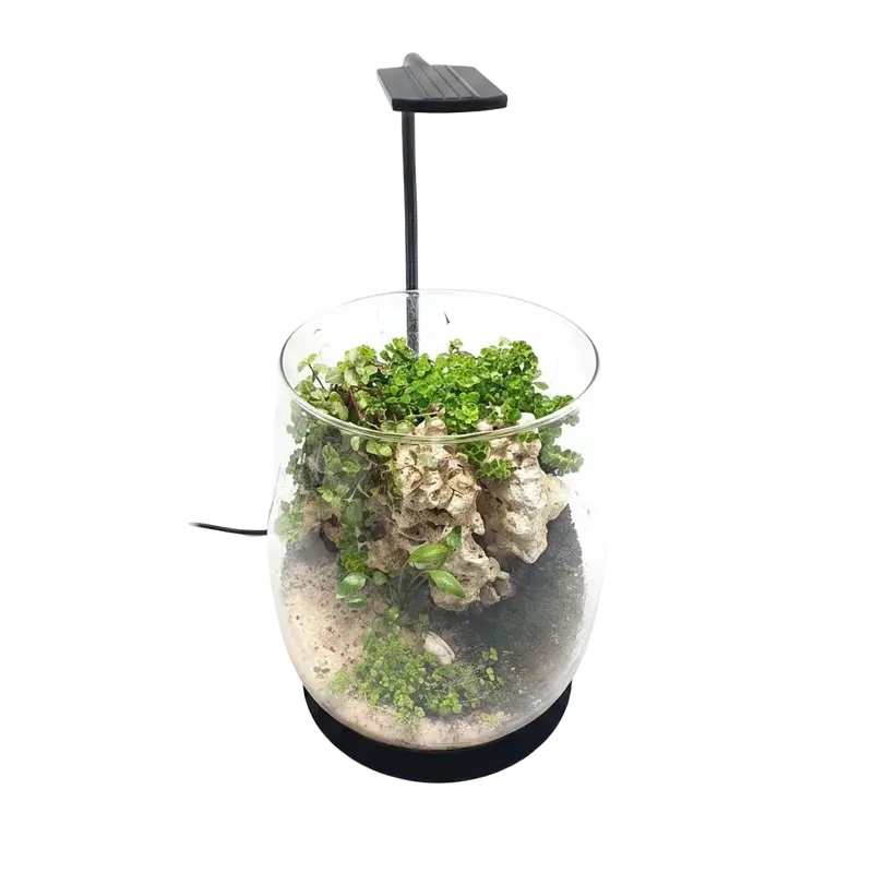 daytime kingcobra black LED-Wabi-Kusa-Leuchte – SunLike Neutral, Ultra & Color
