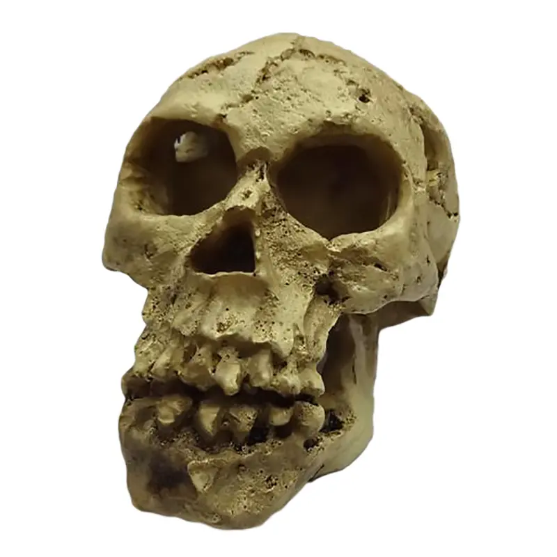 DEKORATION SCHÄDEL - Totenkopf