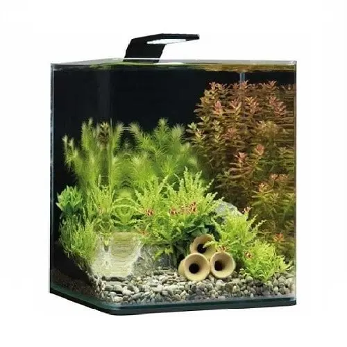 Dennerle Nano cube led style 20 liters set