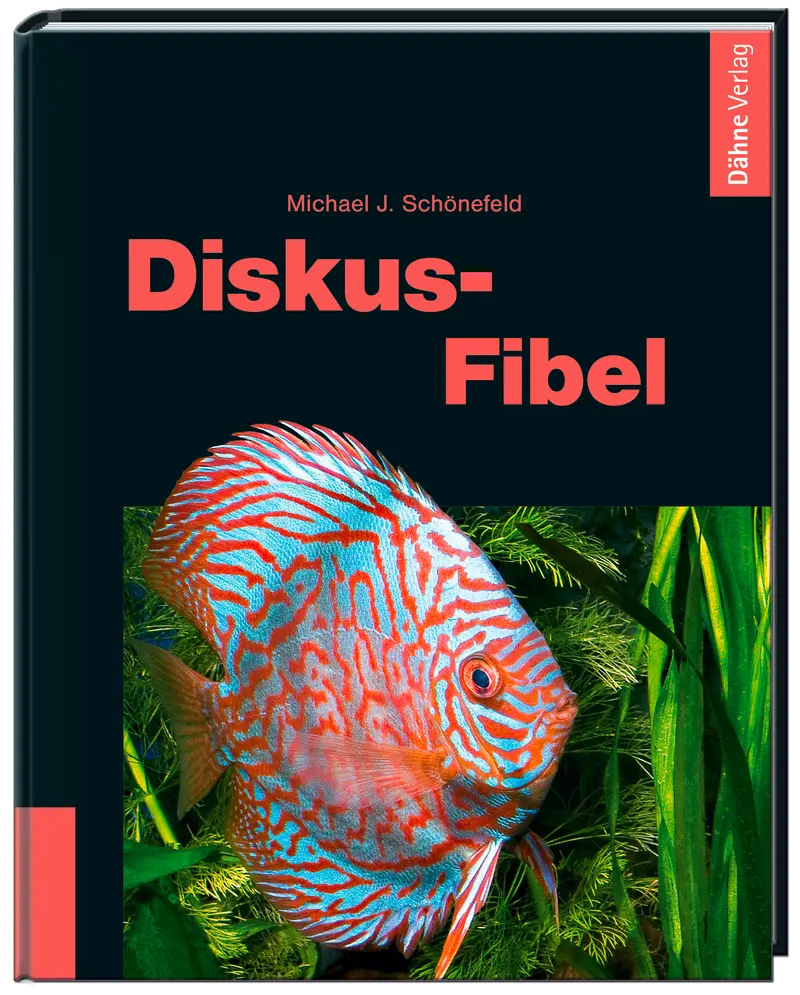 Diskus-Fibel