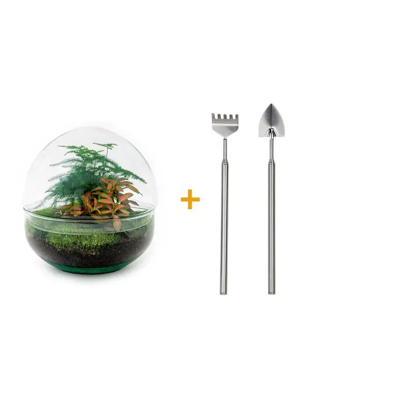 DIY Flaschengarten Set "Dome Rot" – Autarkes Mini-Ökosystem inkl. Werkzeug 🌿🛠️ - ES+