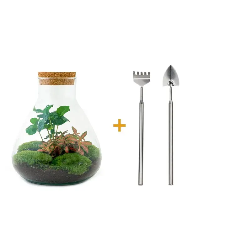 DIY Flaschengarten Set "Sammie Coffea" – Autarkes Mini-Ökosystem inkl. Werkzeug ☕🌱✨ - ES+