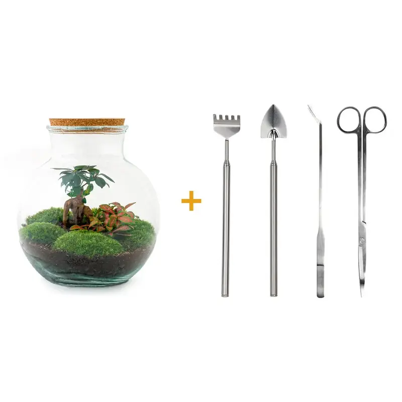 DIY Flaschengarten Set "Teddy Bonsai" – Autarkes Mini-Ökosystem inkl. Premium-Werkzeug 🌳🛠️ - ES+