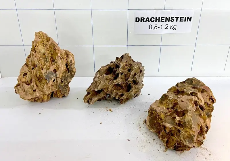 Drachenstein S (0,8-1,2 kg) - Preis je Stein